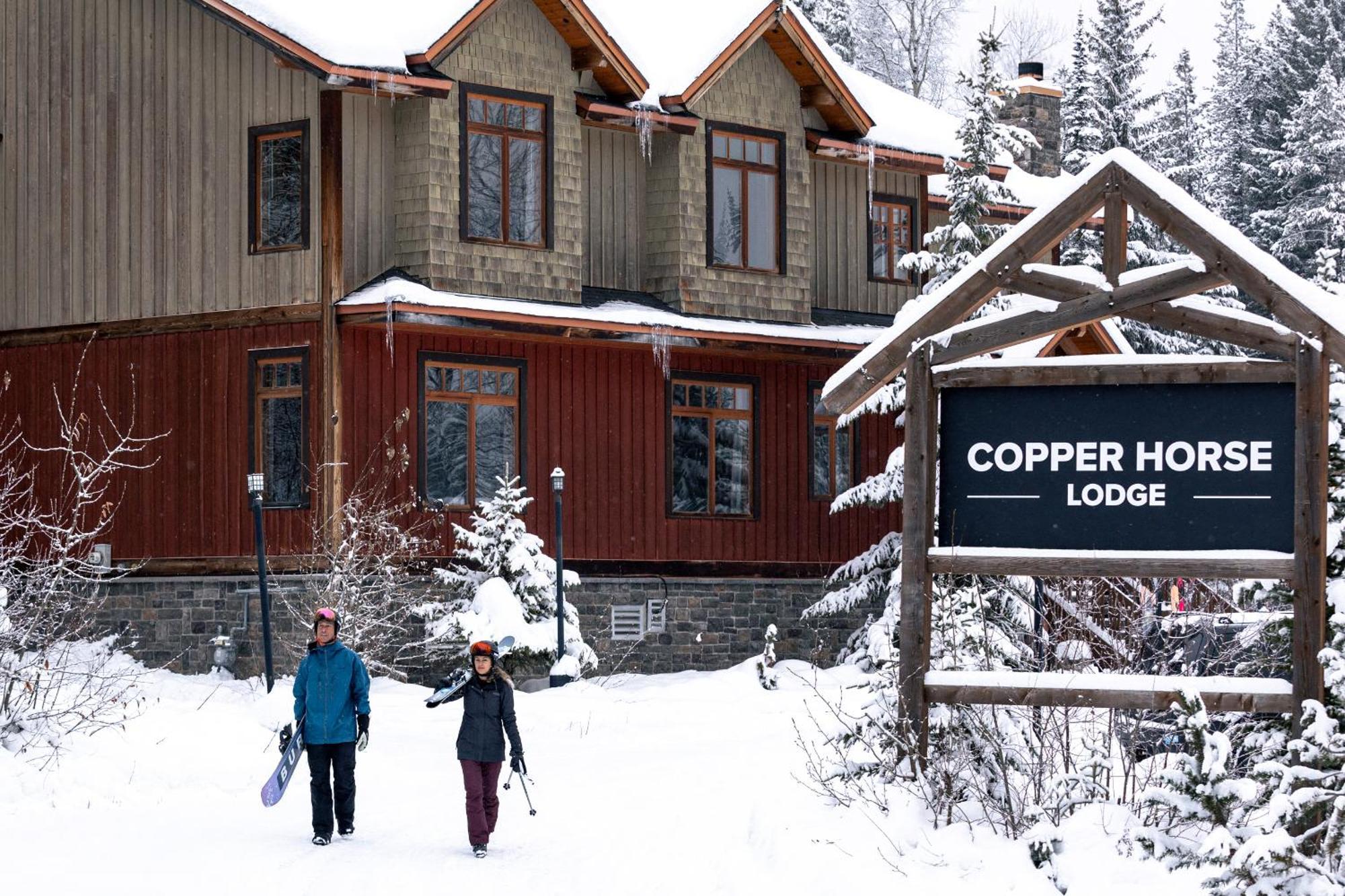 غولدن Copper Horse Lodge المظهر الخارجي الصورة