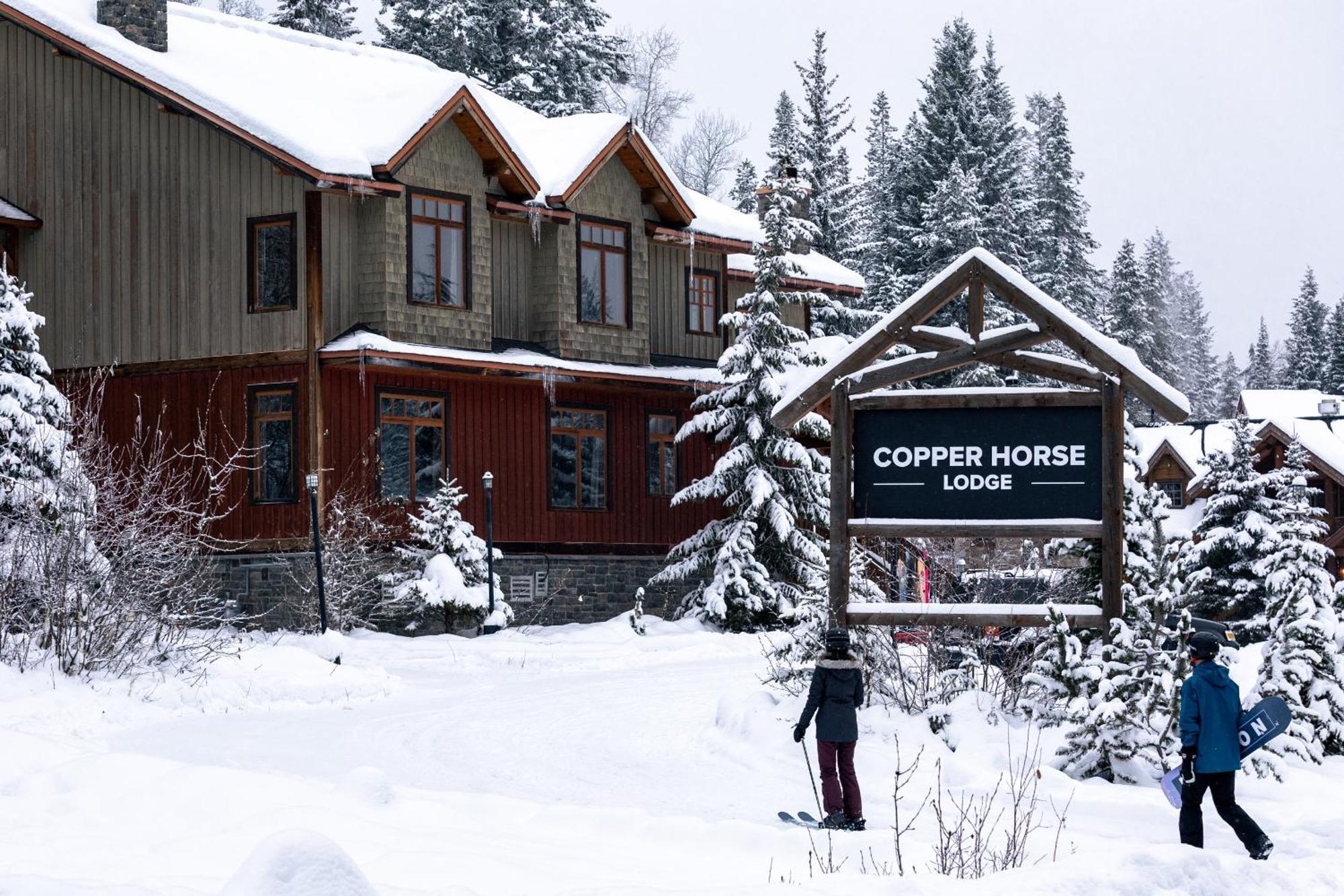 غولدن Copper Horse Lodge المظهر الخارجي الصورة